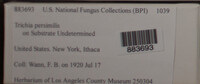 Image Associated With the Occurence